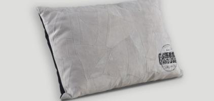 Cushion DB004392