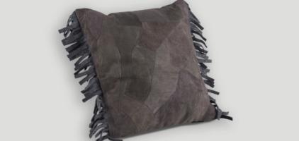 Cushion DB004394